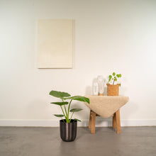 Kamerplant - Alocasia Macrorrhiza - Inclusief sierpot - Pot Ø 19cm Hoogte ↕ 70cm