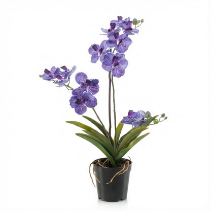 Kunstplant - Orchidee Vanda - Paars - In pot - Hoogte ↕ 60cm