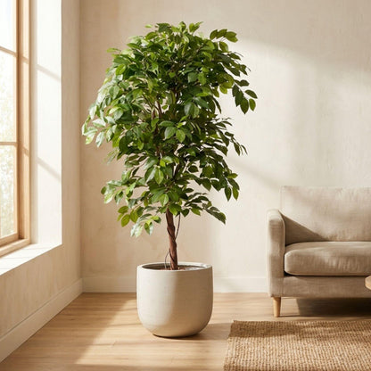 XL Kunstplant - Ficus Deluxe Vine Kunstboom - Hoogte ↕ 140cm