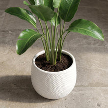 Sierpot Gabriel Rond Wit - Pot Ø 14cm