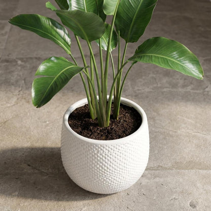 Sierpot Gabriel Rond Wit - Pot Ø 14cm