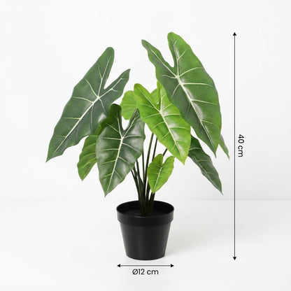 Kunstplant - Alocasia Polly - Hoogte ↕ 40cm