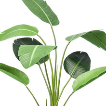 Kunstplant - Strelitzia - In zwarte pot - Hoogte ↕ 120cm
