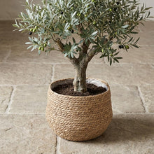 Mand Jorck Bruin - Ø26cm