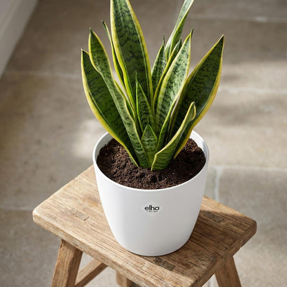 Pot - ELHO Brussels Rond 25cm - Wit