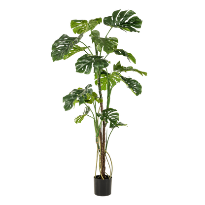 Kunstplant - Monstera Gatenplant - Hoogte ↕ 180cm