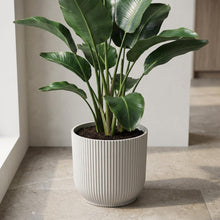 Sierpot - Vibes Fold 22cm - Wit