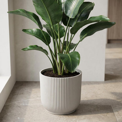 Sierpot - Vibes Fold 22cm - Wit