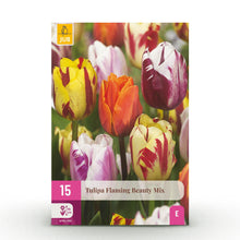 Bloembollen - Tulp Flaming Beauty mix - Diverse kleuren - 15 stuks - Bolmaat 11/12