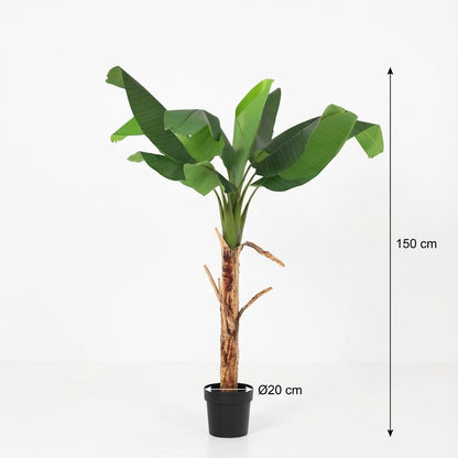 Kunstplant - Bananenplant Musa - Hoogte ↕ 150cm