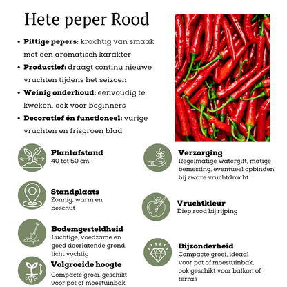 Buitenplant - Rode plukgroente mix - Cherry tomaat, Snack paprika & Hete peper - Pot Ø 14cm Hoogte ↕ 45cm