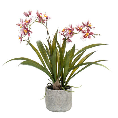 Kunstplant - Orchidee Bordeaux - Hoogte ↕ 45cm