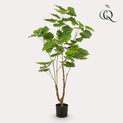 Kunstplant - Ficus Umbellata - Afrikaanse Vijg - Hoogte ↕ 125cm