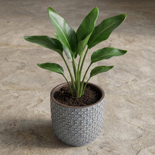 Pot - Mini Pot Relief Blauw - Ø 7cm