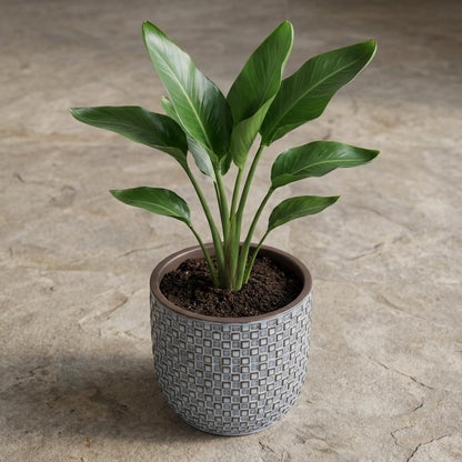 Pot - Mini Pot Relief Blauw - Ø 7cm