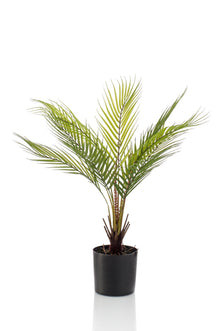 Kunstplant - Chamaedorea Bergpalm - 50 cm