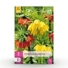Buitenplant 3x Fritillaria Imperialis Mix - Bloembollen Geel en Oranje - Bolmaat 18/20