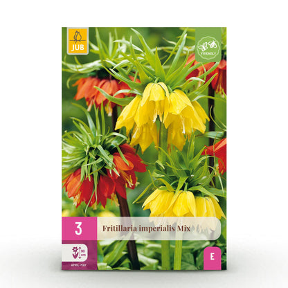 Buitenplant 3x Fritillaria Imperialis Mix - Bloembollen Geel en Oranje - Bolmaat 18/20