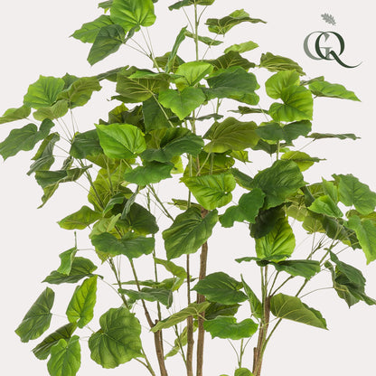 XL kunstplant - Ficus umbellata - Afrikaanse vijg - Hoogte ↕ 180cm