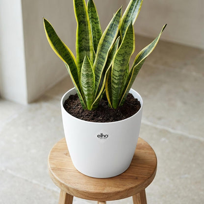 Sierpot - Brussels Rond 18cm - Wit