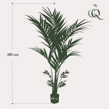 Kunstplant - Kentia Kentiapalm - Hoogte ↕ 180cm