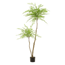 XL Kunstplant - Sophora Honingboom - Hoogte ↕ 190cm