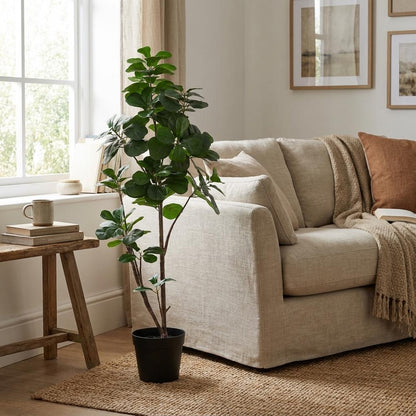 Kunstplant - Ficus Lyrata Vertakt XL - Hoogte ↕ 150cm