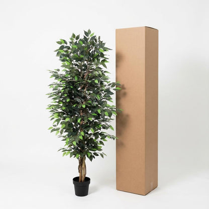 XL Kunstplant - Ficus Benjamina - Hoogte ↕ 180cm
