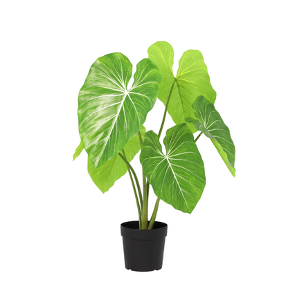 Kunstplant - Philodendron - Hoogte ↕ 100cm