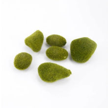Accessoire - Moss stone green x6