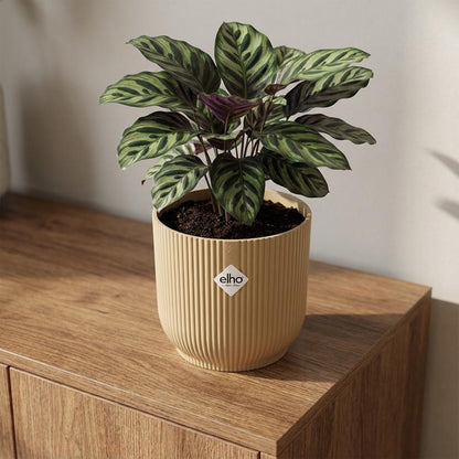 Sierpot - Vibes Fold 14cm - Geel