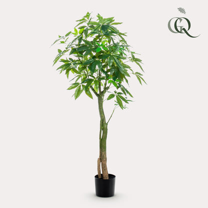 Kunstplant - Pachira Aquatica Geldboom - Hoogte ↕ 150cm