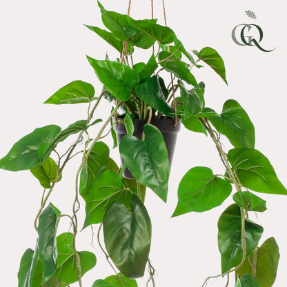 Kunstplant - Philodendron scandens - Klimmende Boomliefhebber - Hoogte ↕ 80cm