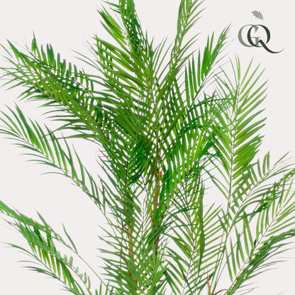 XL kunstplant - Chamaedorea Elegans Bergpalm - Hoogte ↕ 120cm