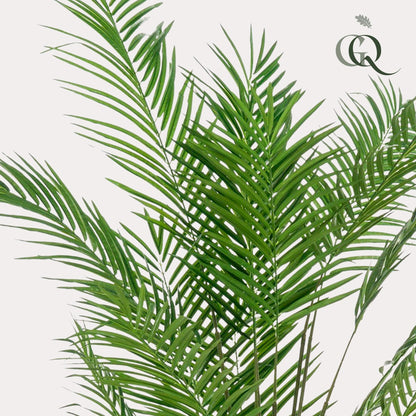Kunstplant XL - Areca Lutescens Goudpalm - Hoogte ↕ 180cm