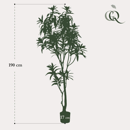 Kunstplant XL - Dracaena Drakenboom - Hoogte ↕ 190cm