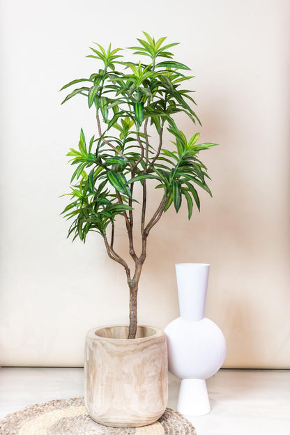 XL kunstplant - Dracaena Drakenboom - Hoogte ↕ 155cm