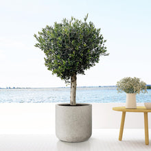 Pot - Jumbo Charlie Beige Washed - Ø 62cm H 60cm