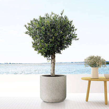 Pot - Jumbo Charlie Beige Washed - Ø 62cm H 60cm