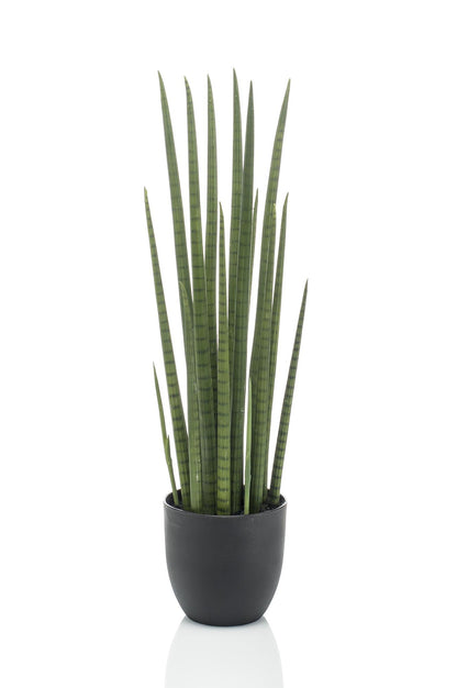 Kunstplant - Sansevieria Cylindrica - Vrouwentong - Hoogte ↕ 70cm