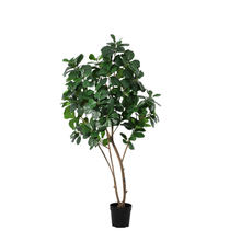 XL Kunstplant - Ficus Lyrata Boom - Hoogte ↕ 180cm