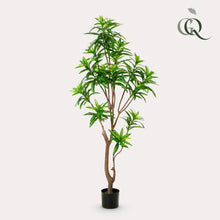 XL kunstplant - Dracaena Drakenboom - Hoogte ↕ 155cm