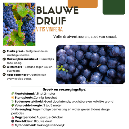 Buitenplant - Fruitplanten mix BIO - 5 verschillende soorten, biologisch gekweekt