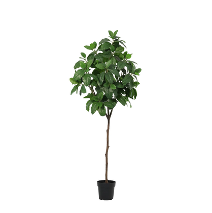 Kunstplant - Magnolia - Hoogte ↕ 190cm