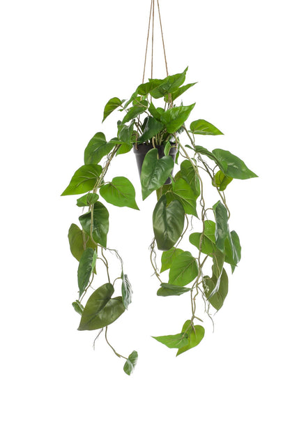 Kunstplant - Philodendron scandens - Klimmende Boomliefhebber - Hoogte ↕ 80cm