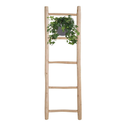 Kamerplant - Hedera Helix Groen - Hangplant met witte hangpot - Pot Ø 17cm