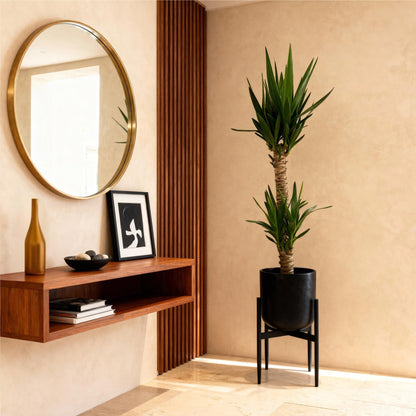 Green boutiQ - Kamerplant - Yucca elephantipes - Yucca - Weinig onderhoud - Groen - 1 - Pot 19cm - Hoogte 95cm