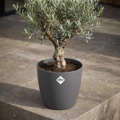 Pot - ELHO Brussels Rond 30cm - Antraciet