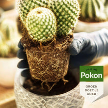 Pokon Cactus & Vetplant Potgrond - 5L