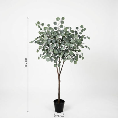 Kunstplant - Eucalyptus Boom - Hoogte ↕ 150cm
